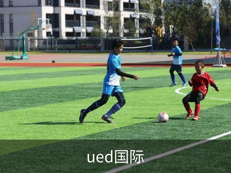 ued国际概况